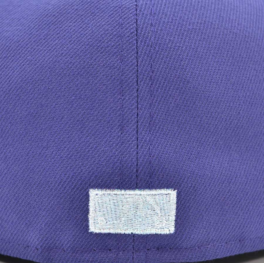 Tampa Bay Devil Rays "PURPLE WAVE" Exclusive New Era 59Fifty Fitted Hat - Orchid/Dark Green