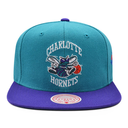 Charlotte Hornets 1991 NBA ALL-STAR GAME Exclusive Mitchell & Ness Snapback Hat - Teal/Purple