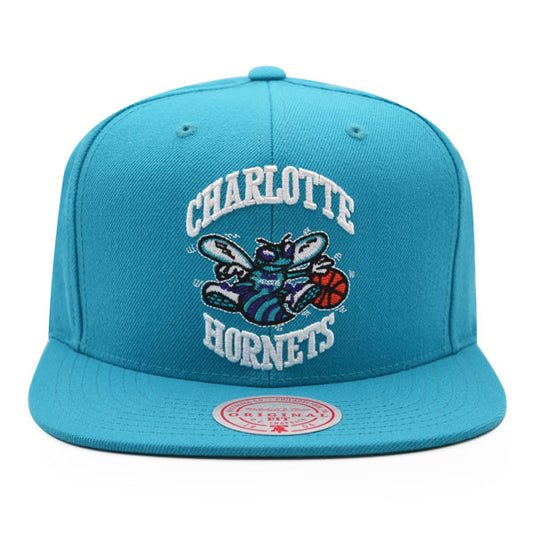 Charlotte Hornets Mitchell & Ness TEAM GROUND Snapback HWC Hat - Teal